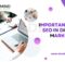 Importance of SEO in Digital Marketing
